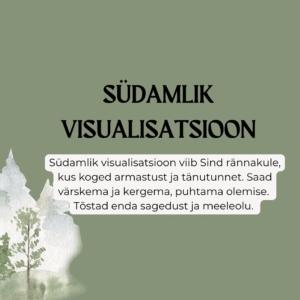 Südamlik visualisatsioon (mets)